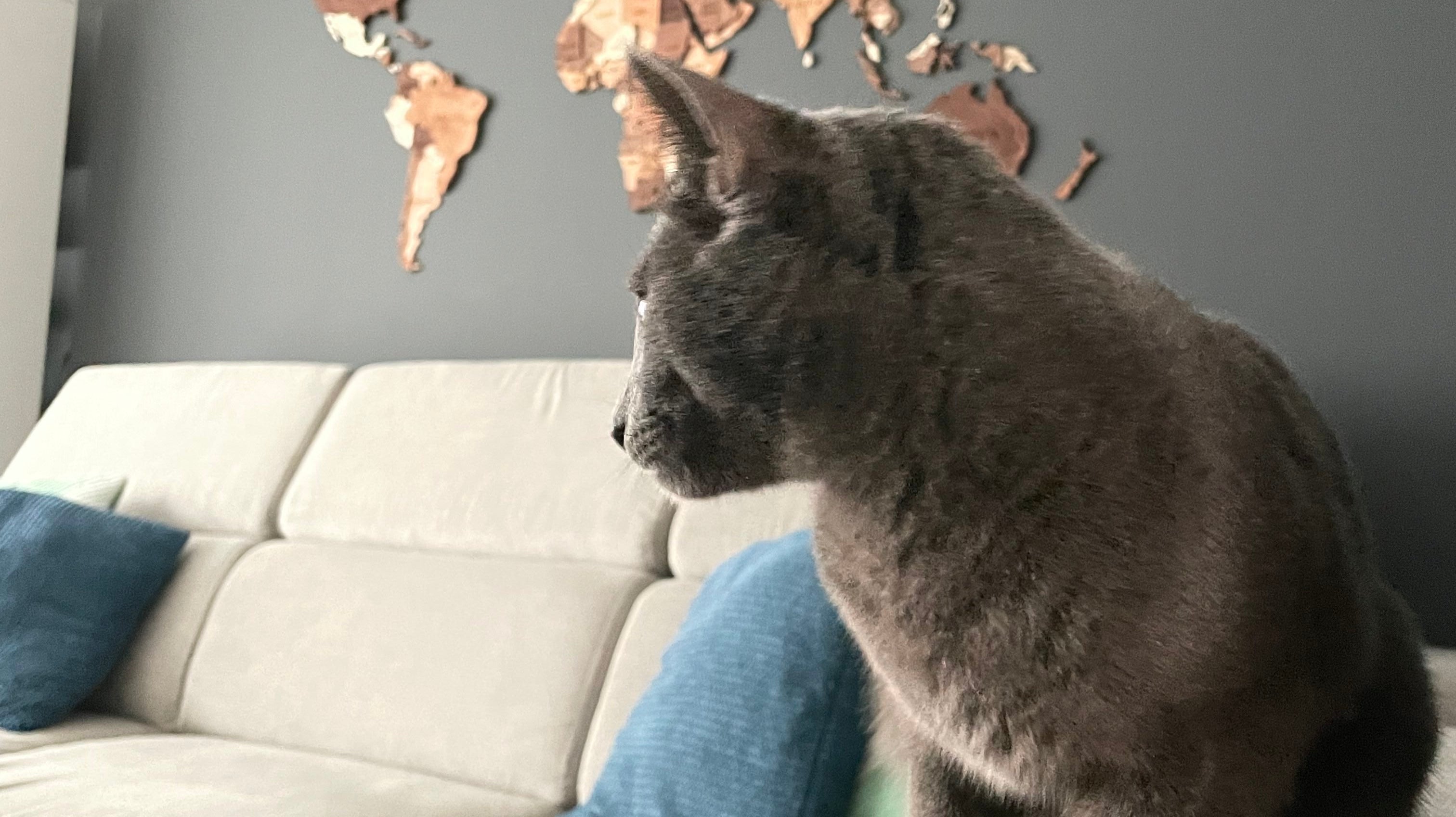 wooden world map at living room