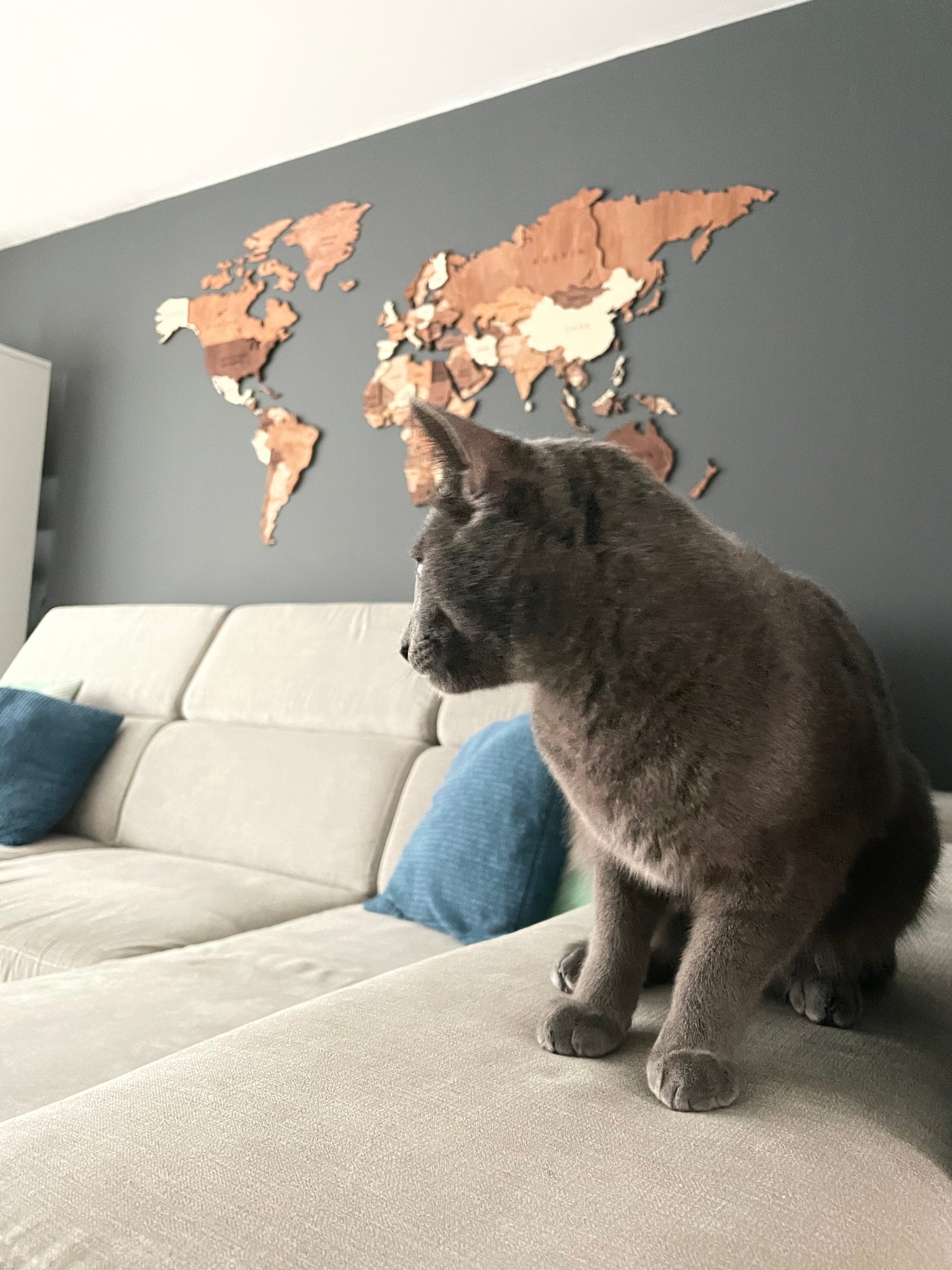 wooden world map at living room